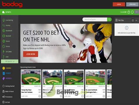 bodog golf|Bodog Golf Betting In Canada.